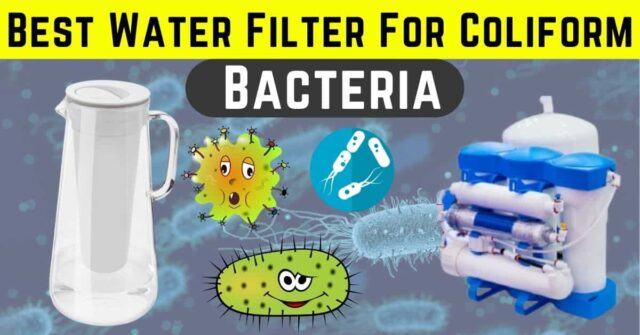 Best Water Filter For Coliform Bacteria